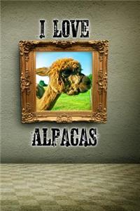 I Love Alpacas