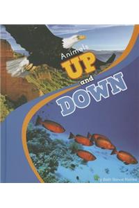 Animals Up and Down