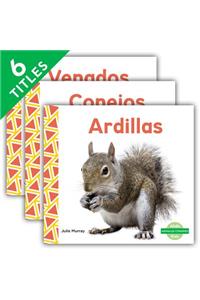 Animales Comunes (Everyday Animals ) (Set)