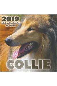 Collie 2019 Mini Wall Calendar (UK Edition)