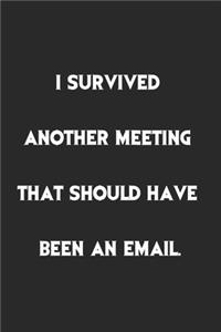I Survived Another Meeting That Should Have Been An Email.