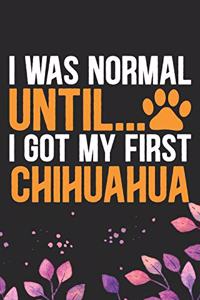 I Was Normal Until I Got My First Chihuahua