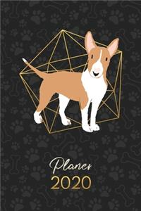 Planer 2020