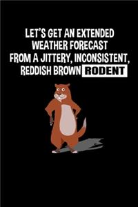 Let's Get an Extended Weather Forecast From a Jittery, Inconsistent Reddish Brown Rodent