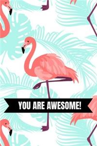 You Are Awesome