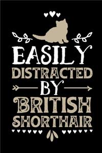 Easily Distracted By British Shorthair