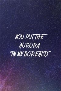 You Put The Aurora In My Borealis