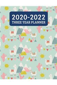 2020-2022 Three Year Planner
