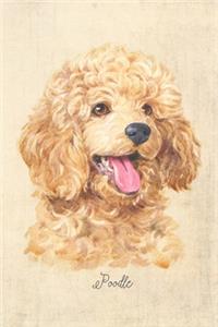 Poodle Dog Portrait Notebook