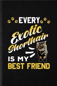 Every Exotic Shorthair Is My Best Friend