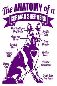 The Anatomy of a German Shepherd