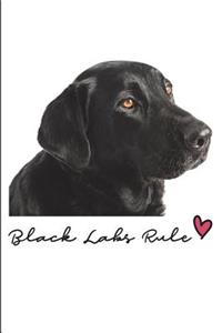 Black Labs Rule