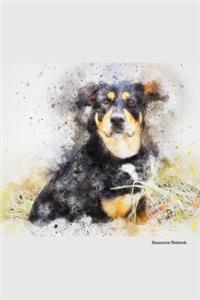 Beauceron Notebook