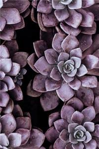 Bullet Journal Purple Succulent Plants Notebook Dotted Journal