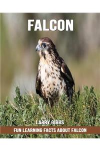 Fun Learning Facts about Falcon
