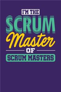 I'm the Scrum Master of Scrum Masters