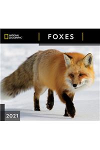 Cal 2021- National Geographic Foxes Wall