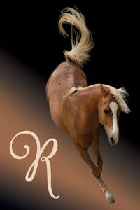 Horse Initial 'r' Monogram Notebook