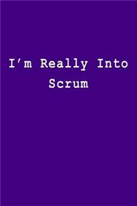 I'm Really Into Scrum