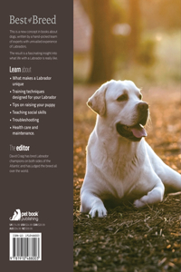 The Labrador: Your Essential Guide from Puppy to Senior Dog