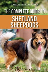 Complete Guide to Shetland Sheepdogs