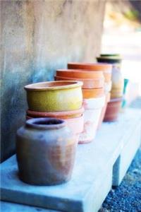 Ceramic Flower Pots in a Row Journal