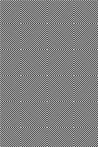 Optical Illusion Notebook