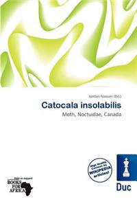 Catocala Insolabilis