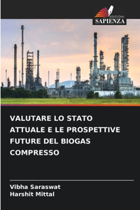 Valutare Lo Stato Attuale E Le Prospettive Future del Biogas Compresso