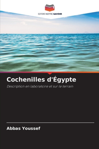 Cochenilles d'Égypte