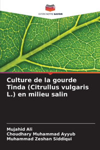 Culture de la gourde Tinda (Citrullus vulgaris L.) en milieu salin