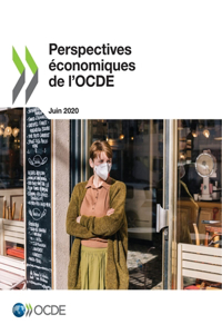 Perspectives Économiques de l'Ocde, Volume 2020 Numéro 1