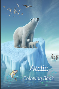 Arctic Coloring book