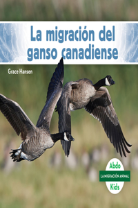 La Migración del Ganso Canadiense (Set)