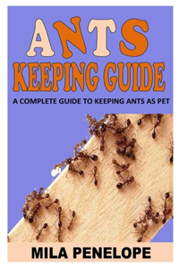 Ants Keeping Guide
