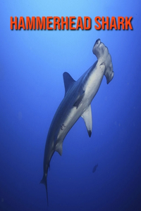 Hammerhead Shark