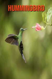 Hummingbird