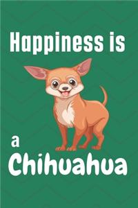 Happiness is a Chihuahua