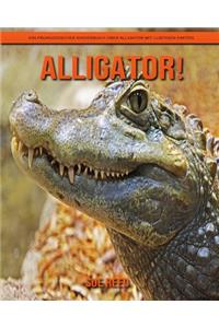 Alligator! Ein pädagogisches Kinderbuch über Alligator mit lustigen Fakten