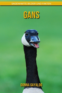 Gans