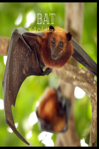 Bat Wall Calendar 2021