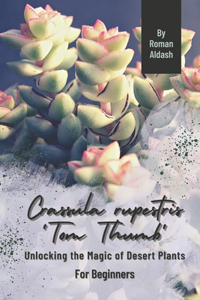 Crassula rupestris 'Tom Thumb'