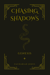 Chasing Shadows