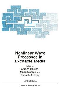 Nonlinear Wave Processes in Excitable Media