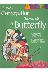 How a Caterpillar Grows Into a Butterfly