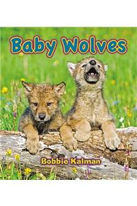 Baby Wolves