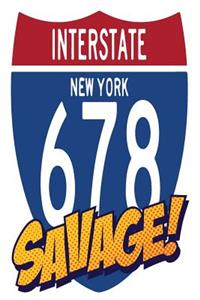 Interstate New York 678 Savage