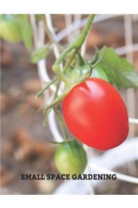 Small Space Gardening