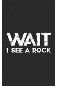 Wait I See a Rock