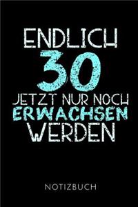 Endlich 30 Notizbuch